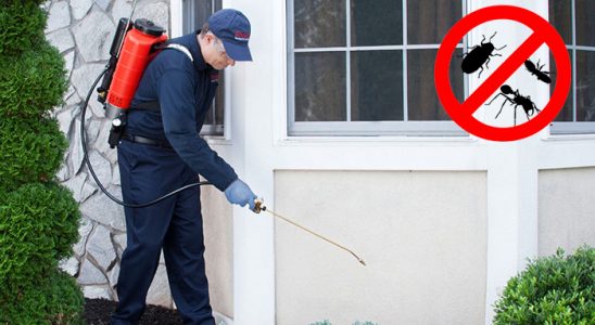 Süleymanpaşa Bit İlaçlama böcek ilaçlama ve haşere kontrolü — ilaclama-tr.com